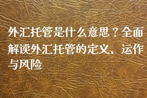 外汇托管是什么意思？全面解读外汇托管的定义、运作与风险_https://wap.yjjixie.cn_证券市场_第1张