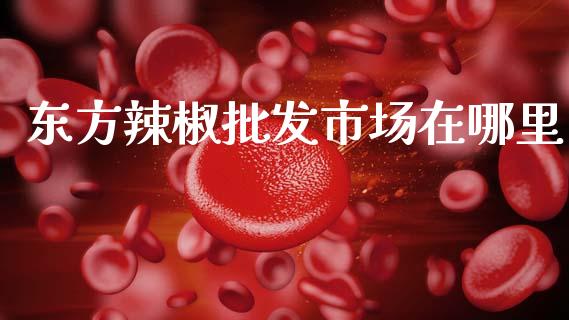 东方辣椒批发市场在哪里_https://wap.yjjixie.cn_保险理财_第1张