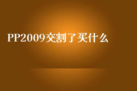 PP2009交割了买什么_https://wap.yjjixie.cn_港股行情_第1张