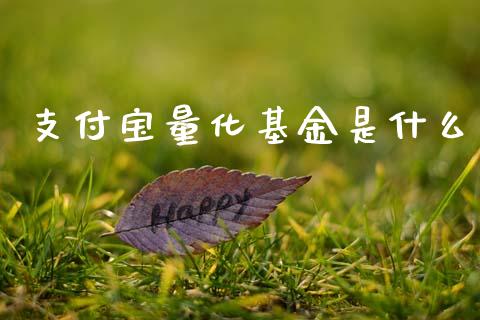 支付宝量化基金是什么_https://wap.yjjixie.cn_保险理财_第1张