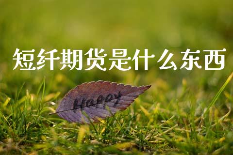 短纤期货是什么东西_https://wap.yjjixie.cn_商业资讯_第1张