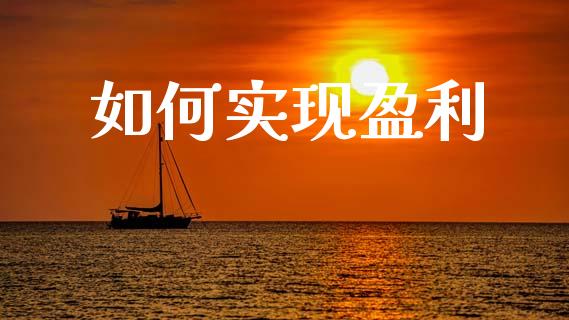 如何实现盈利_https://wap.yjjixie.cn_保险理财_第1张