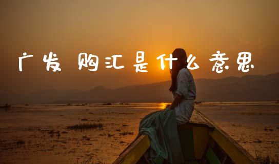 广发 购汇是什么意思_https://wap.yjjixie.cn_港股行情_第1张