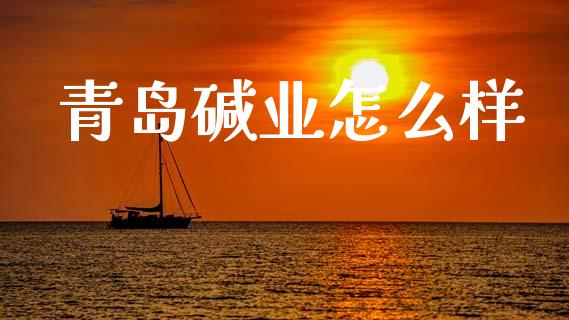 青岛碱业怎么样_https://wap.yjjixie.cn_港股行情_第1张