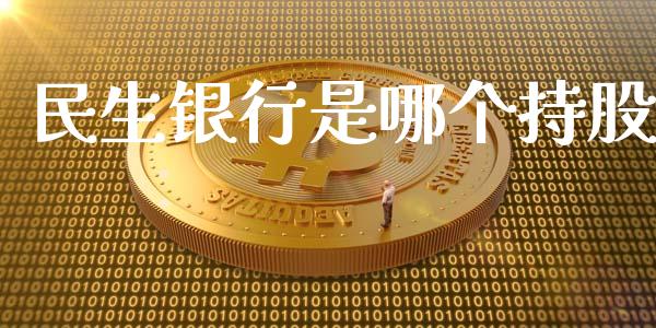 民生银行是哪个持股_https://wap.yjjixie.cn_港股行情_第1张