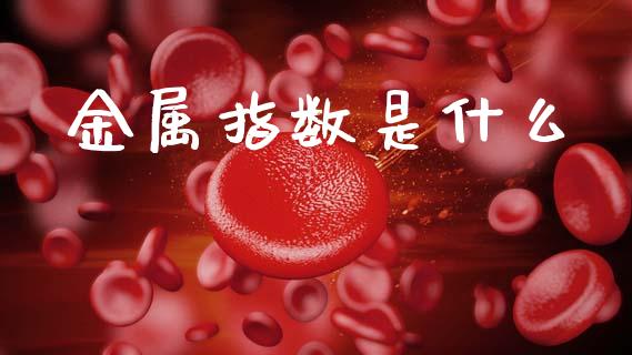 金属指数是什么_https://wap.yjjixie.cn_港股行情_第1张