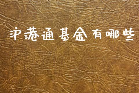 沪港通基金有哪些_https://wap.yjjixie.cn_港股行情_第1张