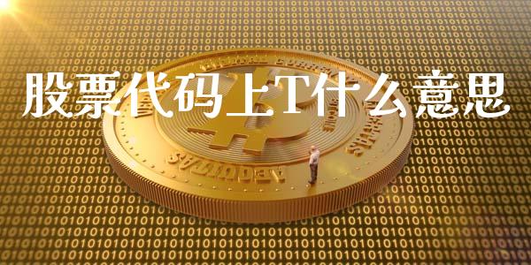 股票代码上T什么意思_https://wap.yjjixie.cn_商业资讯_第1张