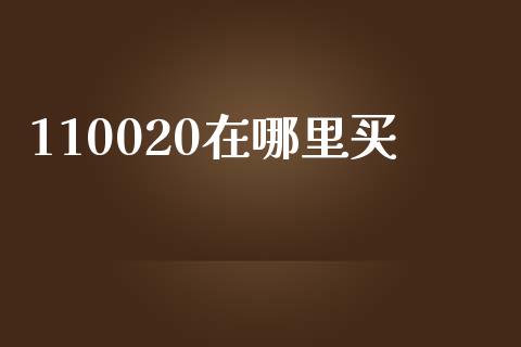 110020在哪里买_https://wap.yjjixie.cn_保险理财_第1张