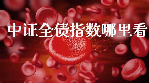 中证全债指数哪里看_https://wap.yjjixie.cn_商业资讯_第1张