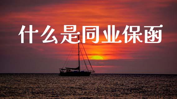 什么是同业保函_https://wap.yjjixie.cn_保险理财_第1张