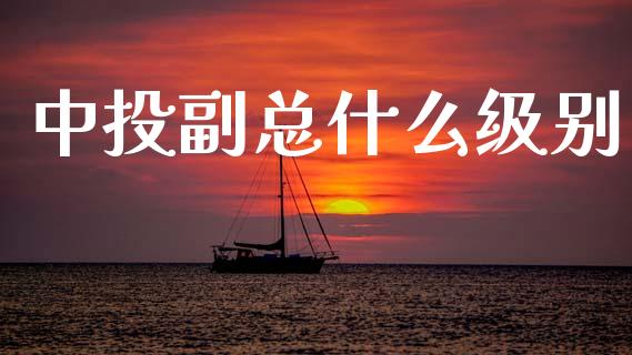 中投副总什么级别_https://wap.yjjixie.cn_证券市场_第1张