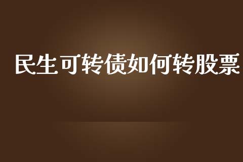 民生可转债如何转股票_https://wap.yjjixie.cn_保险理财_第1张