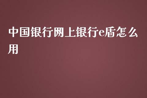 中国银行网上银行e盾怎么用_https://wap.yjjixie.cn_商业资讯_第1张