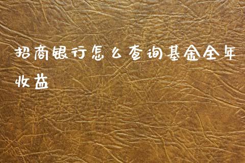 招商银行怎么查询基金全年收益_https://wap.yjjixie.cn_港股行情_第1张