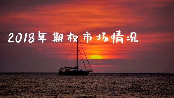 2018年期权市场情况_https://wap.yjjixie.cn_港股行情_第1张
