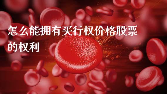 怎么能拥有买行权价格股票的权利_https://wap.yjjixie.cn_保险理财_第1张