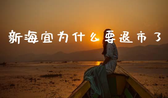 新海宜为什么要退市了_https://wap.yjjixie.cn_证券市场_第1张