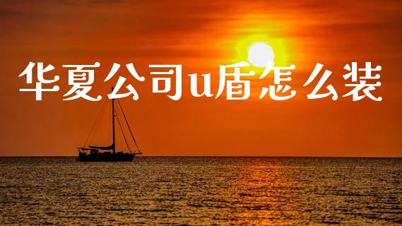 华夏公司u盾怎么装_https://wap.yjjixie.cn_商业资讯_第1张