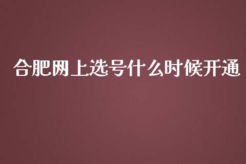 合肥网上选号什么时候开通_https://wap.yjjixie.cn_保险理财_第1张