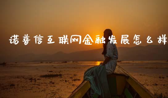 诺普信互联网金融发展怎么样_https://wap.yjjixie.cn_港股行情_第1张