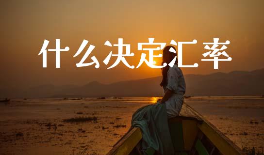 什么决定汇率_https://wap.yjjixie.cn_商业资讯_第1张