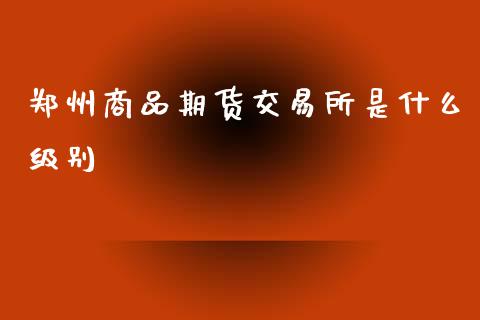 郑州商品期货交易所是什么级别_https://wap.yjjixie.cn_保险理财_第1张