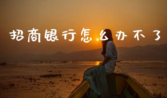 招商银行怎么办不了_https://wap.yjjixie.cn_港股行情_第1张