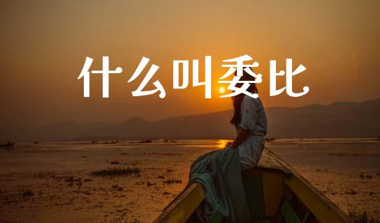 什么叫委比_https://wap.yjjixie.cn_商业资讯_第1张