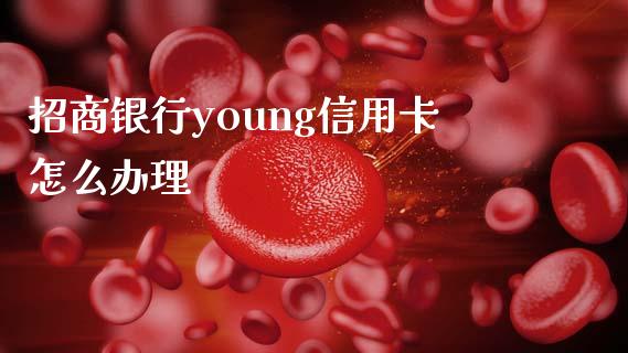招商银行young信用卡怎么办理_https://wap.yjjixie.cn_保险理财_第1张
