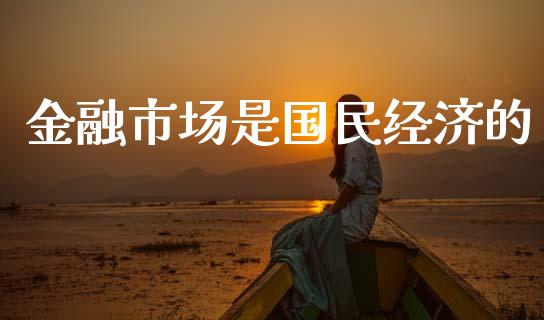 金融市场是国民经济的_https://wap.yjjixie.cn_证券市场_第1张