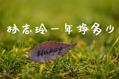林志玲一年挣多少_https://wap.yjjixie.cn_保险理财_第1张