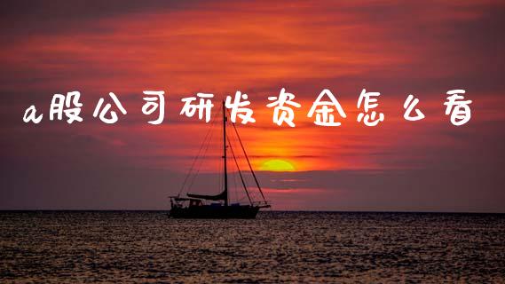 a股公司研发资金怎么看_https://wap.yjjixie.cn_证券市场_第1张