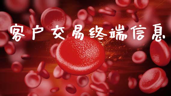 客户交易终端信息_https://wap.yjjixie.cn_证券市场_第1张