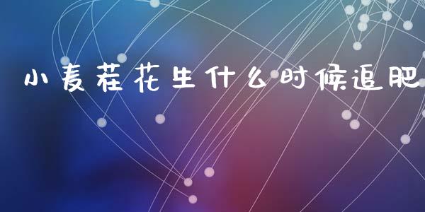 小麦茬花生什么时候追肥_https://wap.yjjixie.cn_港股行情_第1张