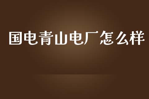 国电青山电厂怎么样_https://wap.yjjixie.cn_证券市场_第1张