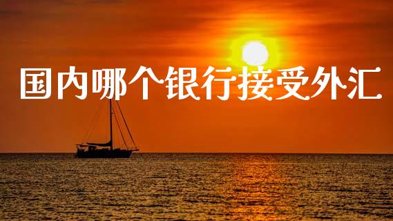 国内哪个银行接受外汇_https://wap.yjjixie.cn_港股行情_第1张