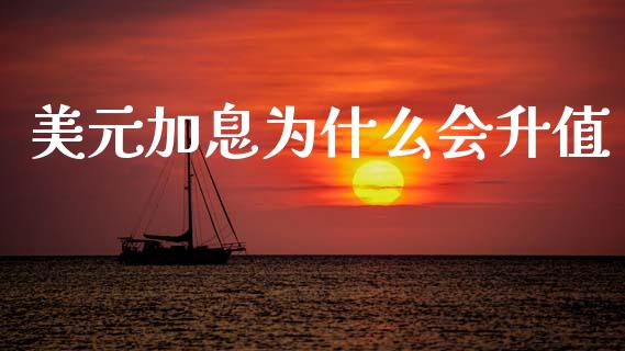 美元加息为什么会升值_https://wap.yjjixie.cn_商业资讯_第1张