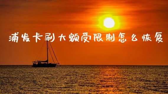 浦发卡刷大额受限制怎么恢复_https://wap.yjjixie.cn_证券市场_第1张