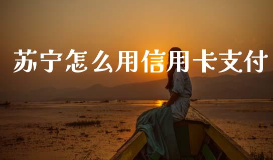 苏宁怎么用信用卡支付_https://wap.yjjixie.cn_证券市场_第1张