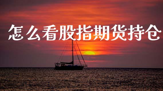 怎么看股指期货持仓_https://wap.yjjixie.cn_保险理财_第1张