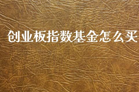 创业板指数基金怎么买_https://wap.yjjixie.cn_港股行情_第1张