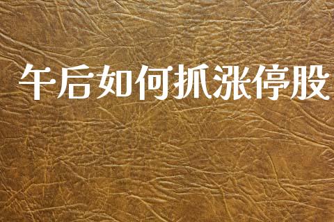 午后如何抓涨停股_https://wap.yjjixie.cn_保险理财_第1张