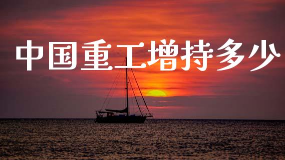 中国重工增持多少_https://wap.yjjixie.cn_证券市场_第1张