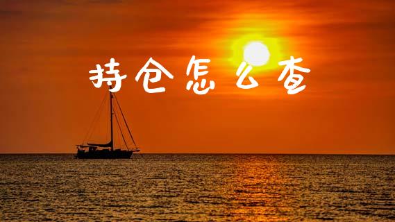 持仓怎么查_https://wap.yjjixie.cn_证券市场_第1张
