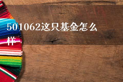 501062这只基金怎么样_https://wap.yjjixie.cn_保险理财_第1张