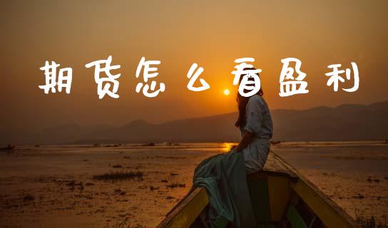 期货怎么看盈利_https://wap.yjjixie.cn_港股行情_第1张