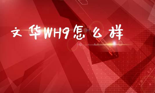 文华WH9怎么样_https://wap.yjjixie.cn_证券市场_第1张