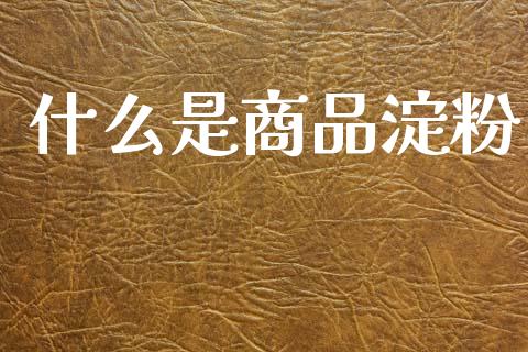 什么是商品淀粉_https://wap.yjjixie.cn_证券市场_第1张