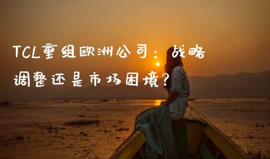 TCL重组欧洲公司：战略调整还是市场困境？_https://wap.yjjixie.cn_商业资讯_第1张